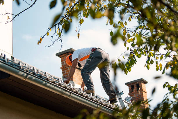 Best Flat Roof Repair Services  in Garden City, ID