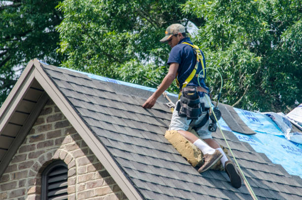 Best Roof Maintenance Services  in Garden City, ID